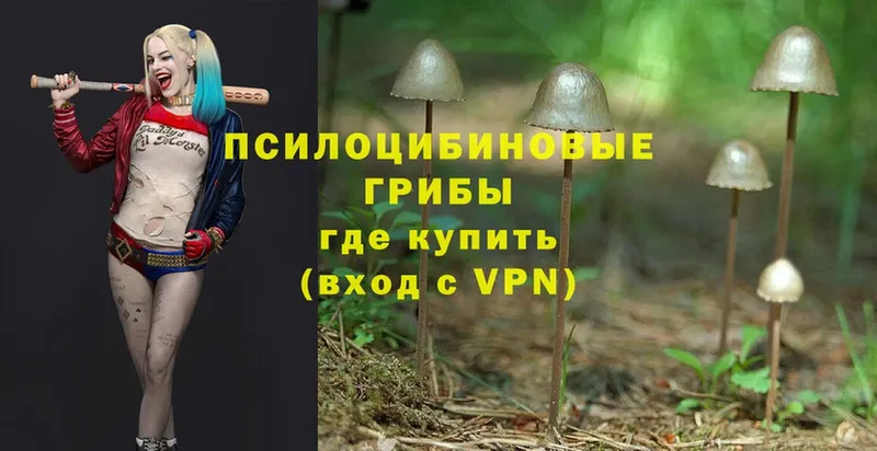 Галлюциногенные грибы Psilocybe  mega как войти  Белоярский  как найти  